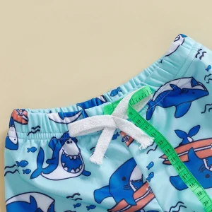 Boys Dinosaur Swim Trunks